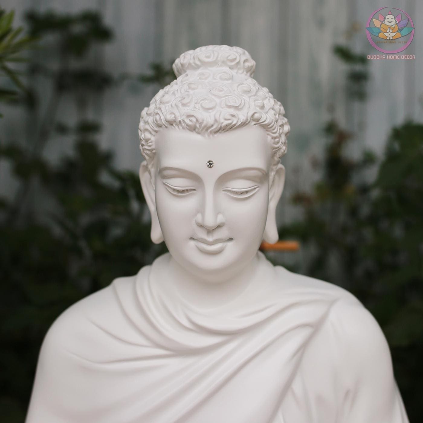 Shakyamuni Buddha Collection