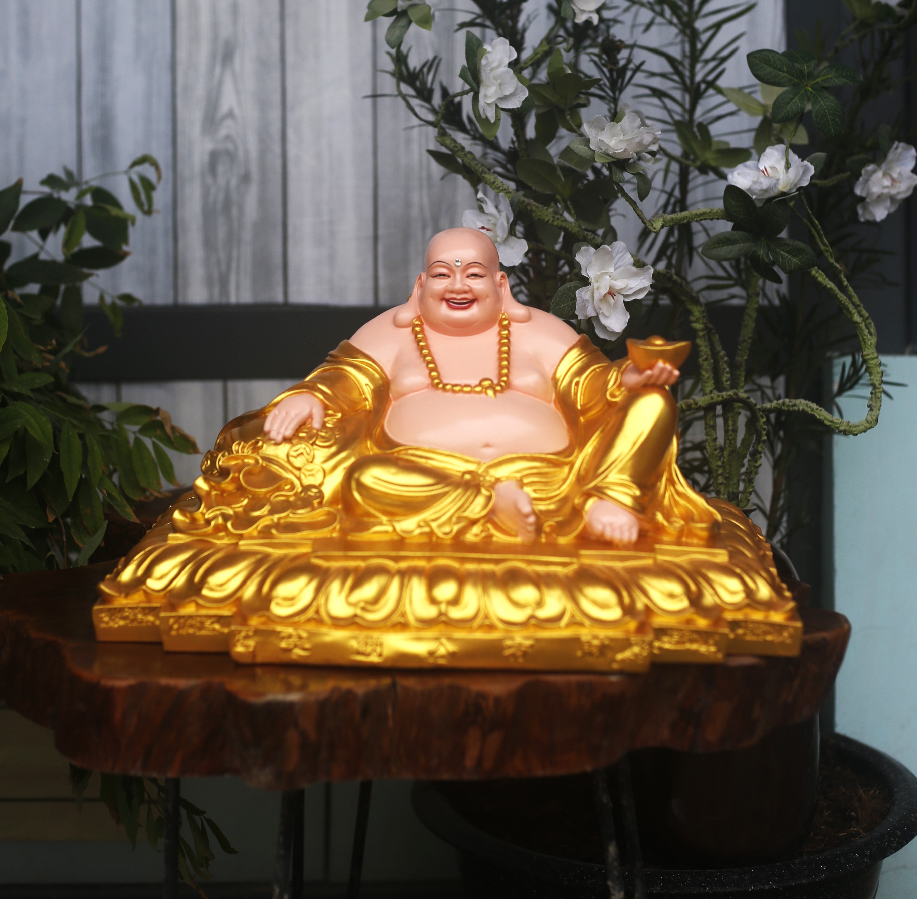 Laughing Buddha Collection