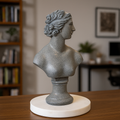 Young Venus Bust Statue: 28cm Greek Goddess Resin Sculpture | Roman Bust