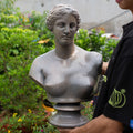 Venus de Milo Bust Sculpture – Greek Goddess Statue, Classic Art Home Decor, Stone Finish | Roman Bust