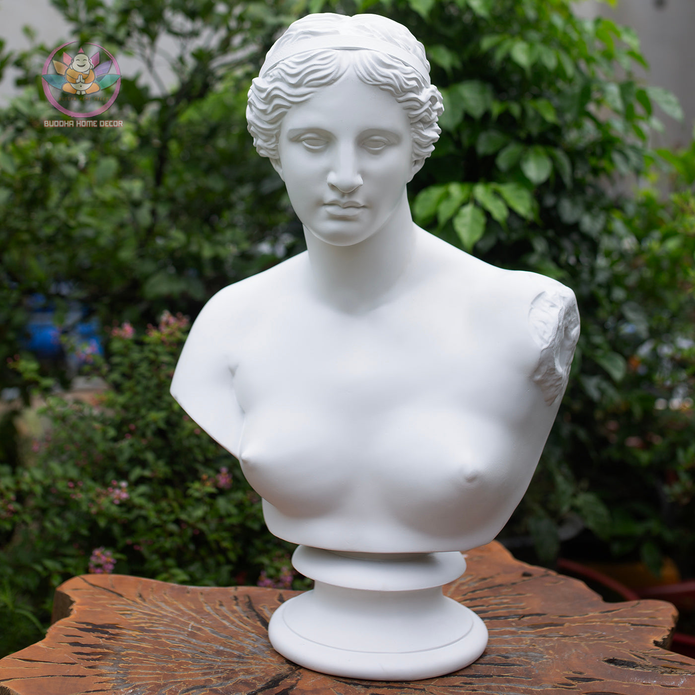 Venus Bust Statue – Greek Goddess Aphrodite Composite Sculpture, Classical Art Decor 21" or 12"