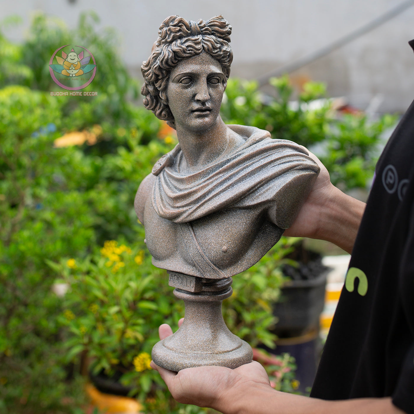 Greek Apollo Bust: Stone Finish Composite Resin Statue | Roman Bust