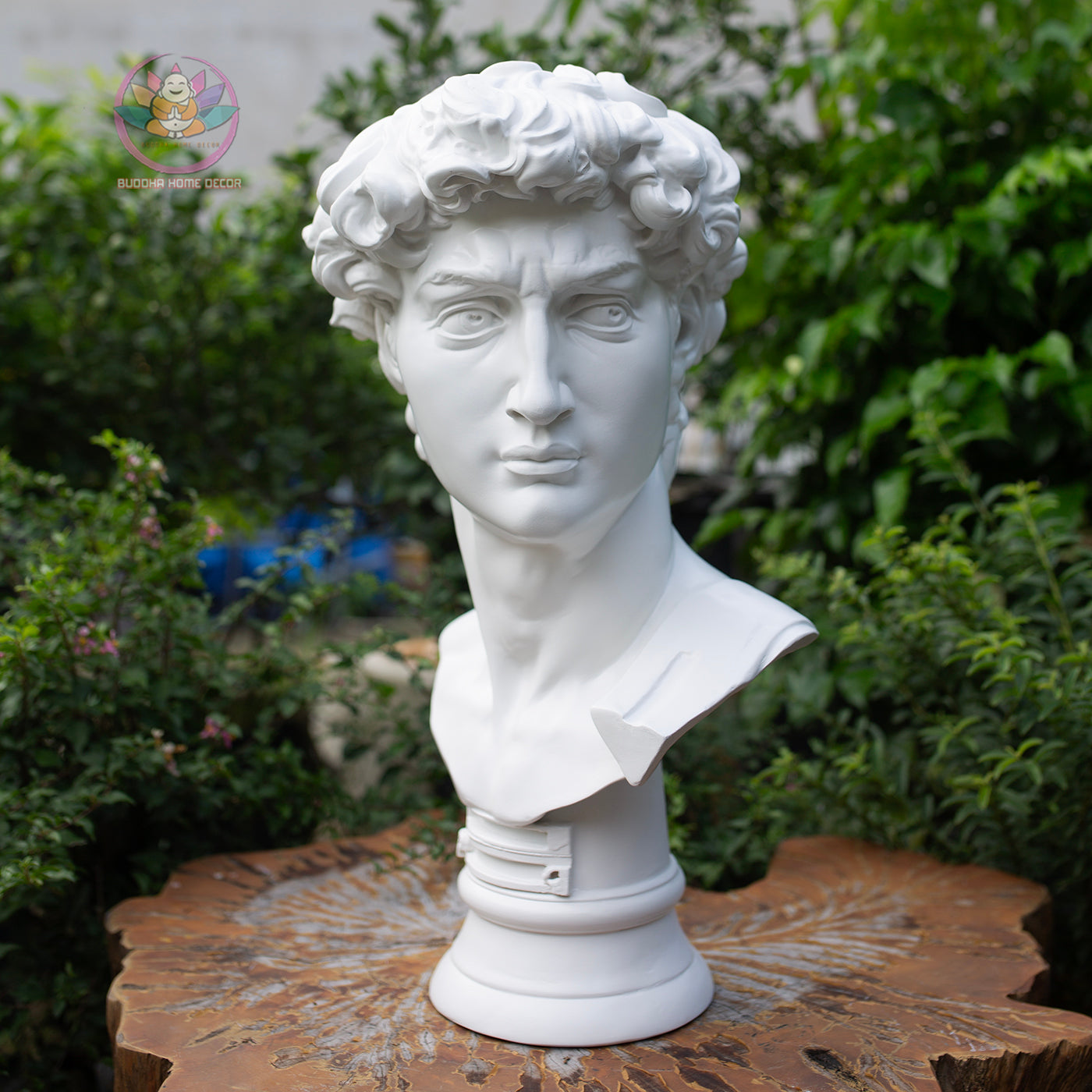 Michelangelo’s David Bust – Classical Greek Roman Sculpture Replica – 21.6" (55cm) | Roman Bust