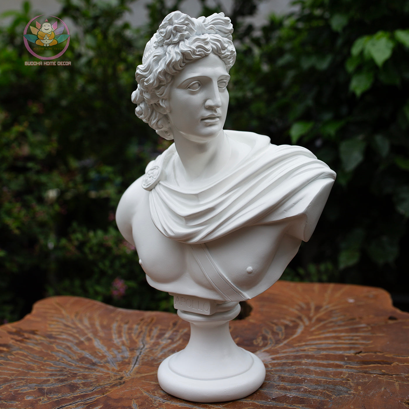 Apollo Bust Statue 13.8" – Greek God Composite Sculpture, Classical Greek Mythology Art Decor