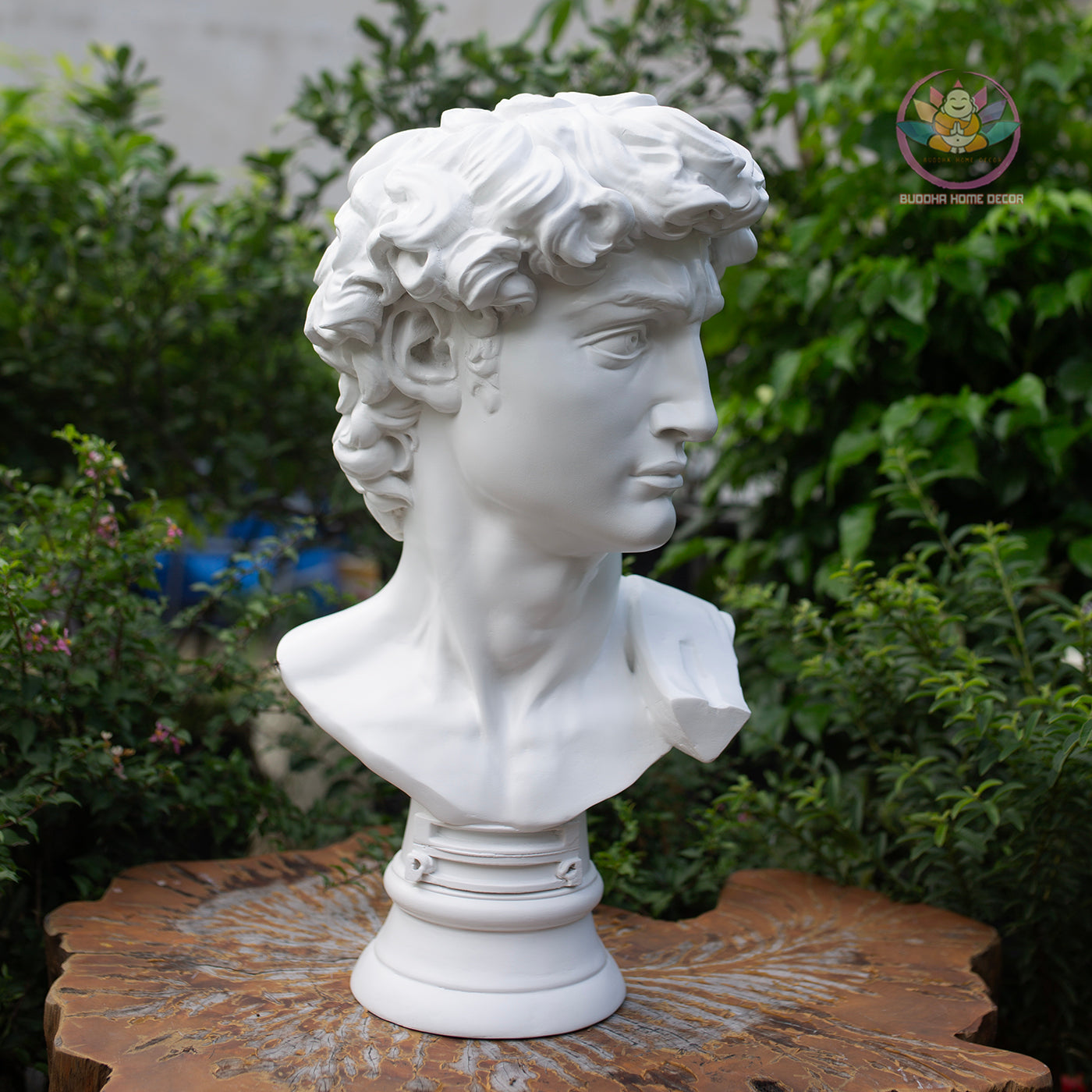 Michelangelo’s David Bust – Classical Greek Roman Sculpture Replica – 21.6" (55cm) | Roman Bust