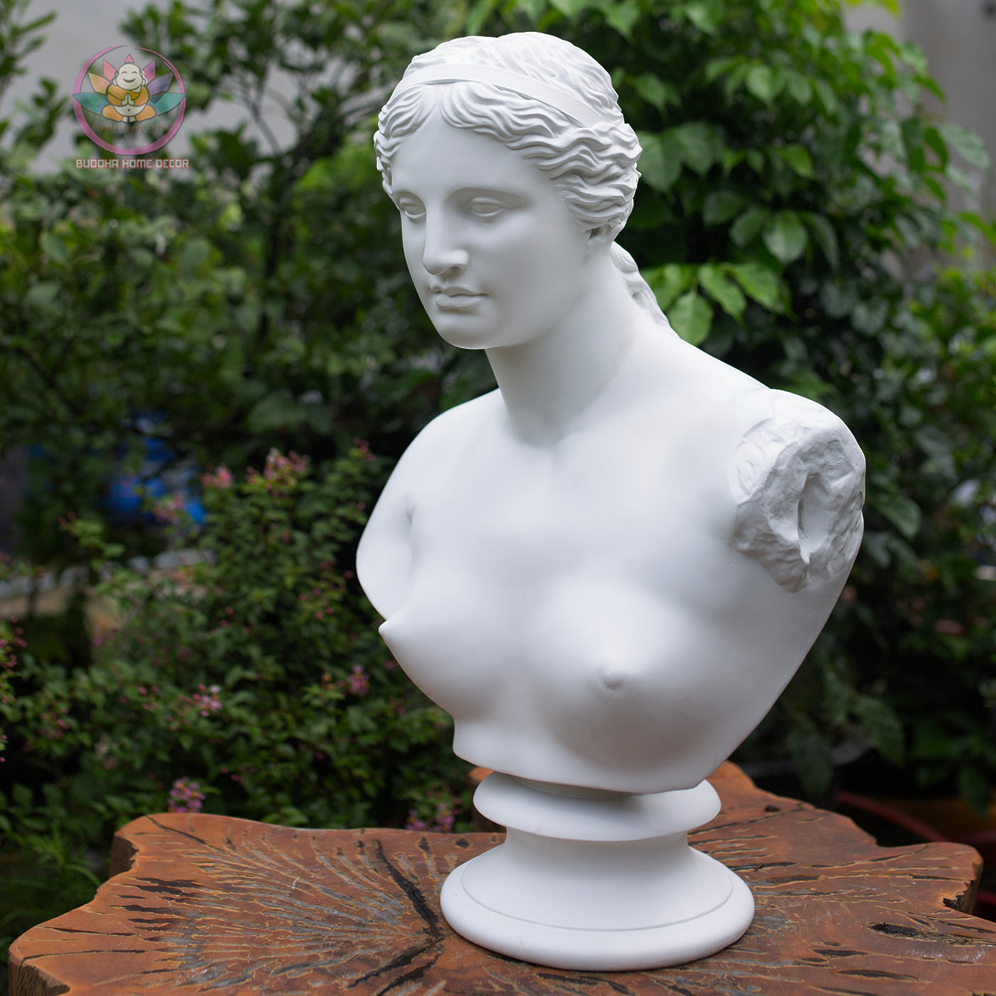 Venus Bust Statue – Greek Goddess Aphrodite Composite Sculpture, Classical Art Decor 21" or 12"