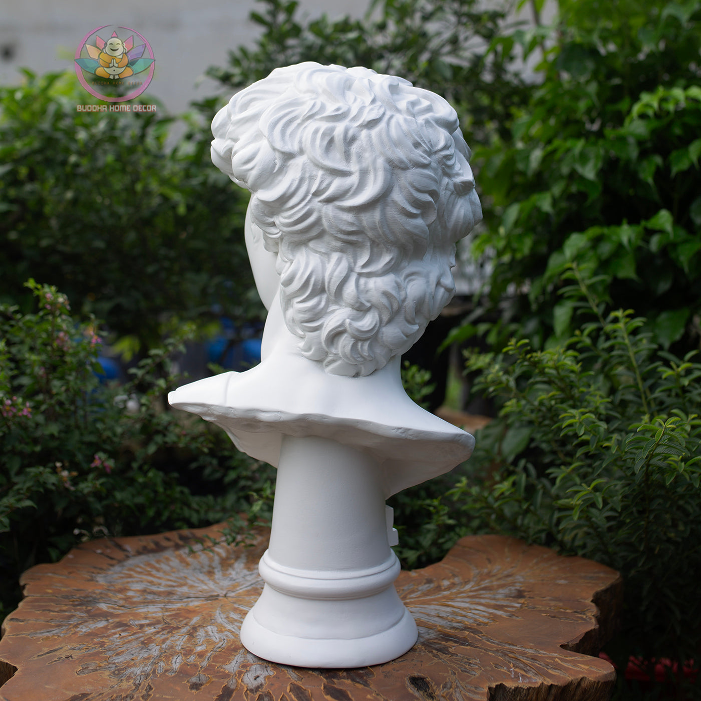 Michelangelo’s David Bust – Classical Greek Roman Sculpture Replica – 21.6" (55cm) | Roman Bust