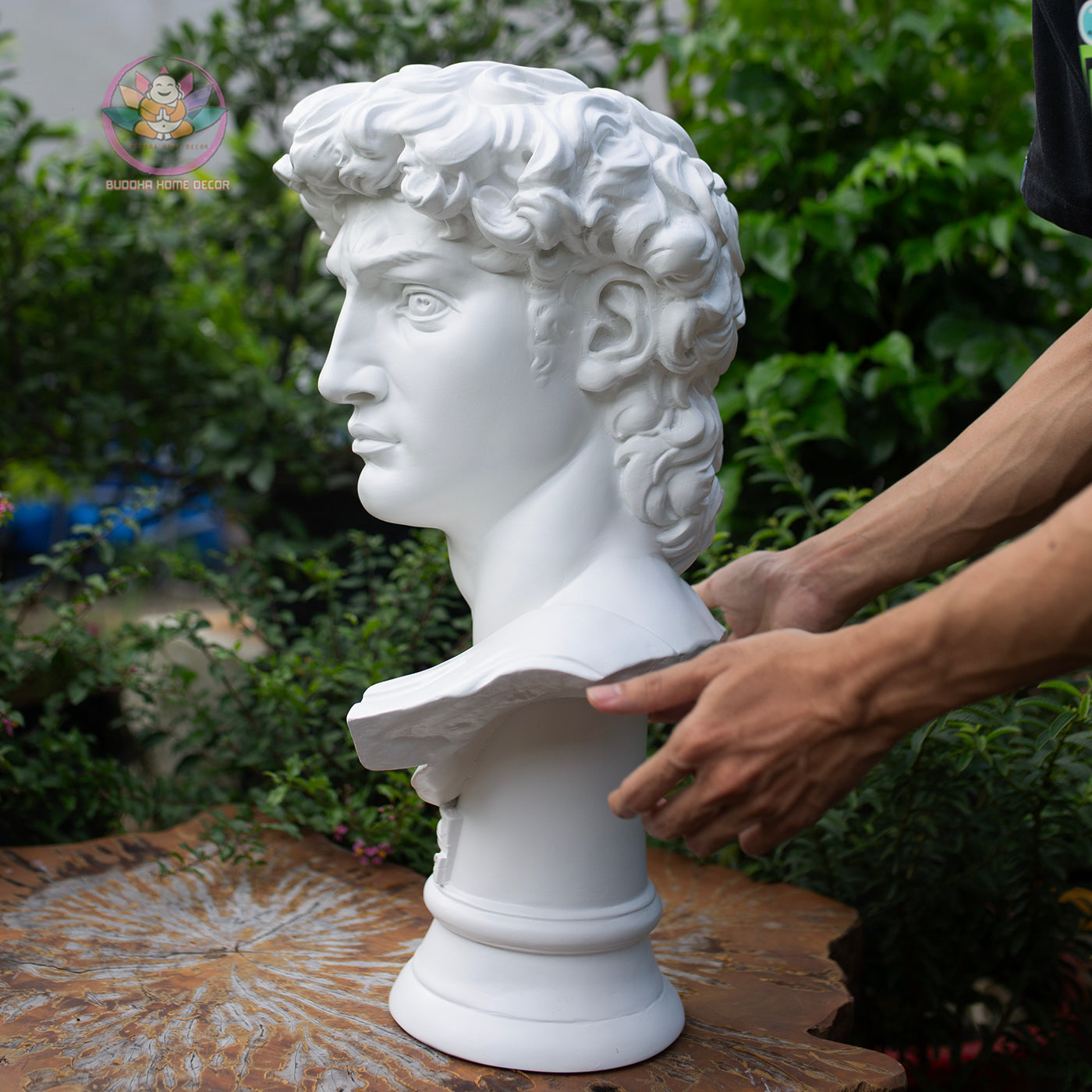 Michelangelo’s David Bust – Classical Greek Roman Sculpture Replica – 21.6" (55cm) | Roman Bust