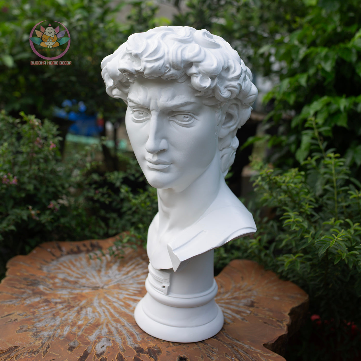 Michelangelo’s David Bust – Classical Greek Roman Sculpture Replica – 21.6" (55cm) | Roman Bust