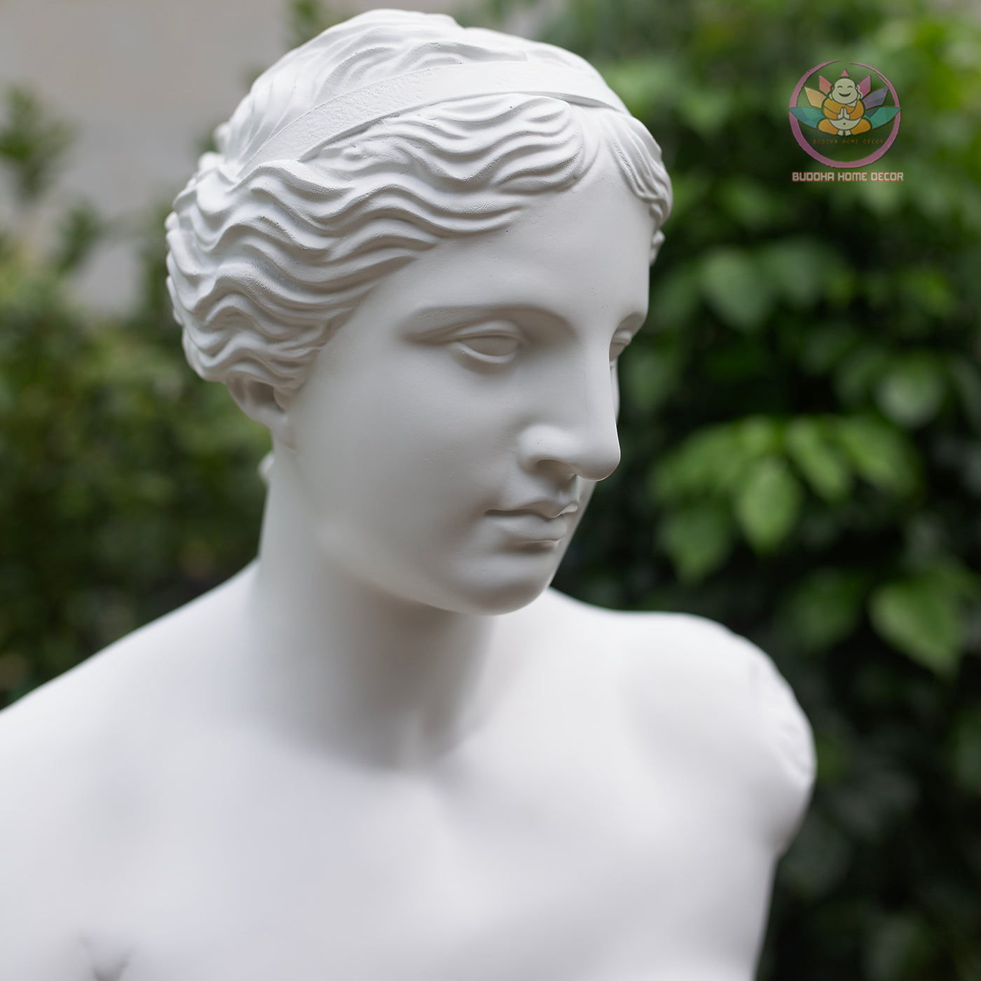 Venus Bust Statue – Greek Goddess Aphrodite Composite Sculpture, Classical Art Decor 21" or 12"
