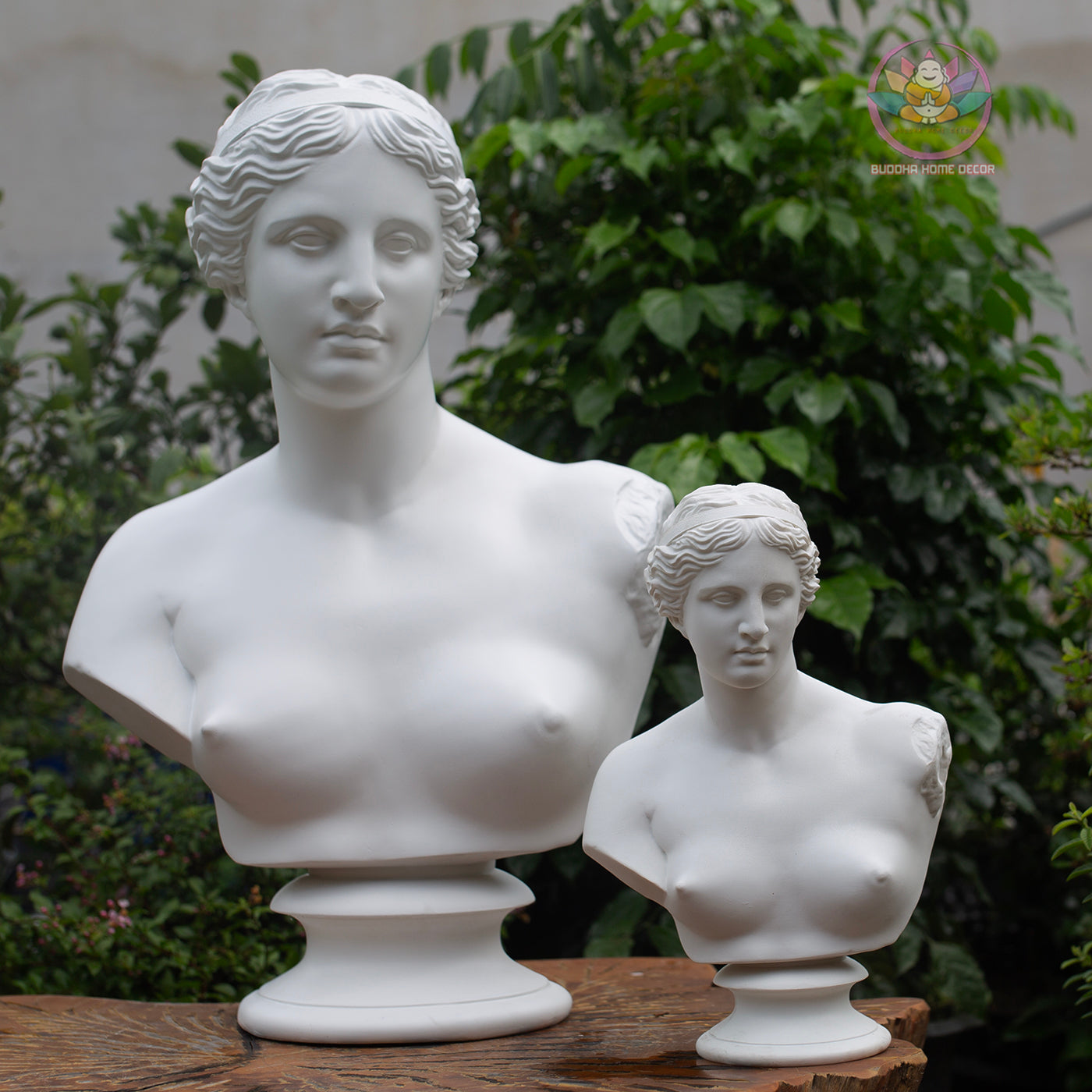 Venus Bust Statue – Greek Goddess Aphrodite Composite Sculpture, Classical Art Decor 21" or 12"