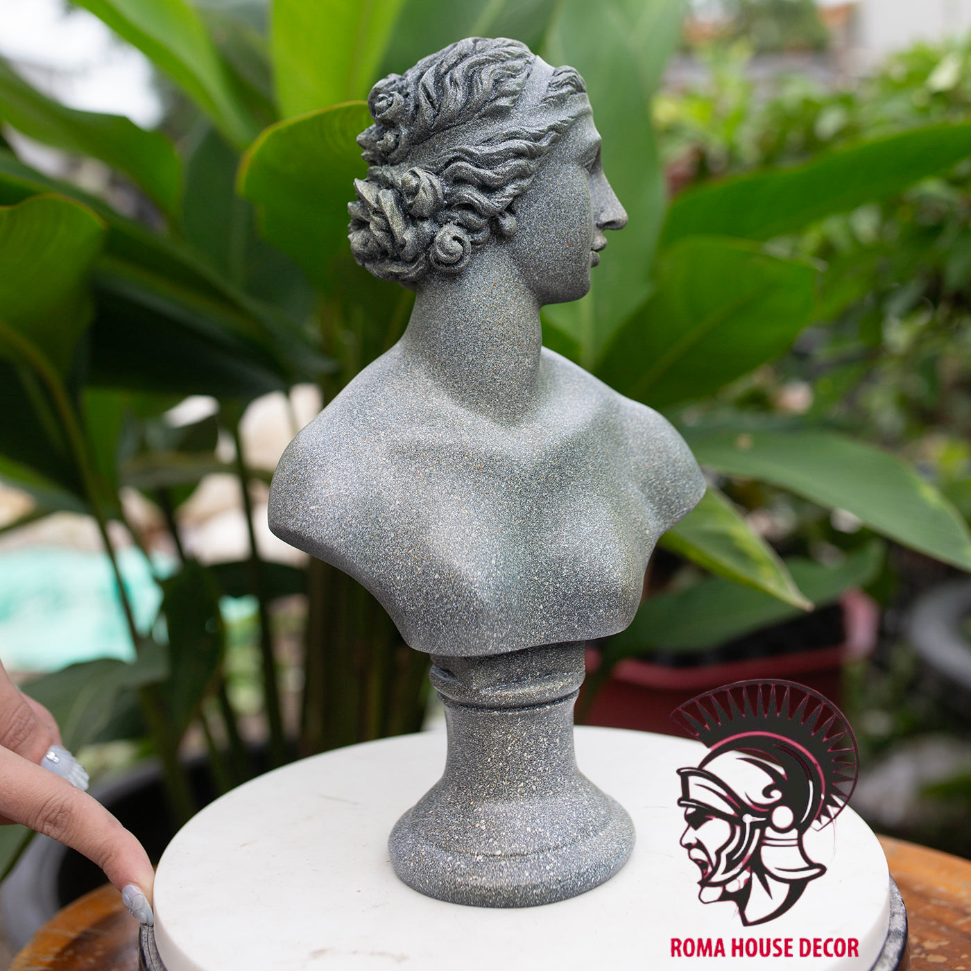 Young Venus Bust Statue: 28cm Greek Goddess Resin Sculpture | Roman Bust