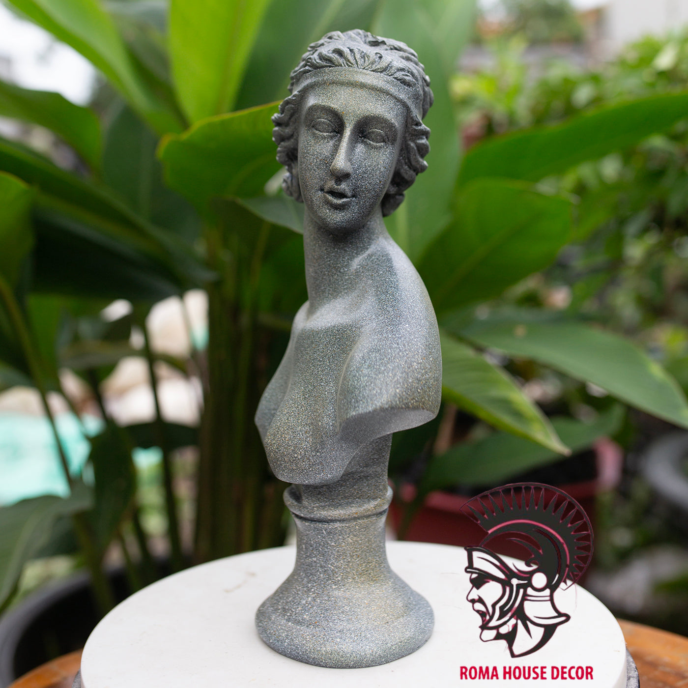 Young Venus Bust Statue: 28cm Greek Goddess Resin Sculpture | Roman Bust