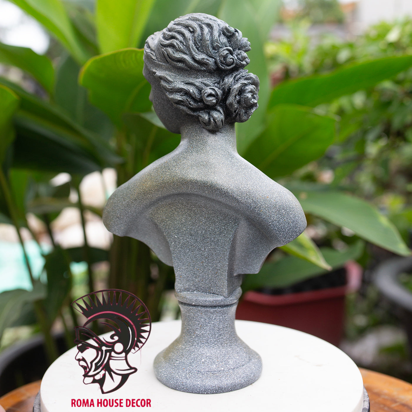 Young Venus Bust Statue: 28cm Greek Goddess Resin Sculpture | Roman Bust