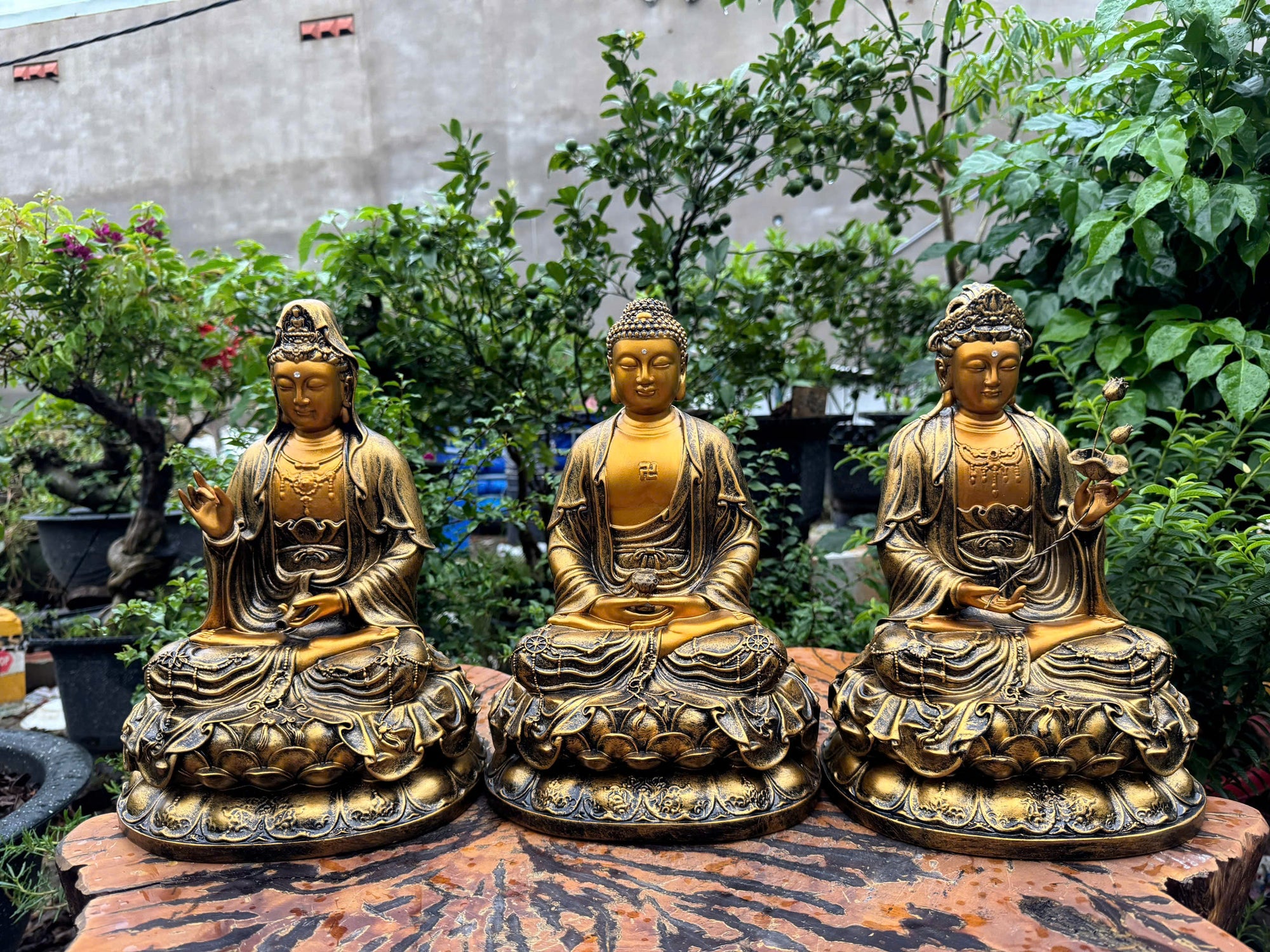 Amitabha Buddha & Bodhisattvas Statue Set – 11.8" Golden Finish Resin Figures (Guanyin, Amitabha, Mahasthamaprapta)